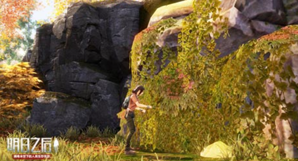 14.3.png