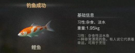 51.1.png